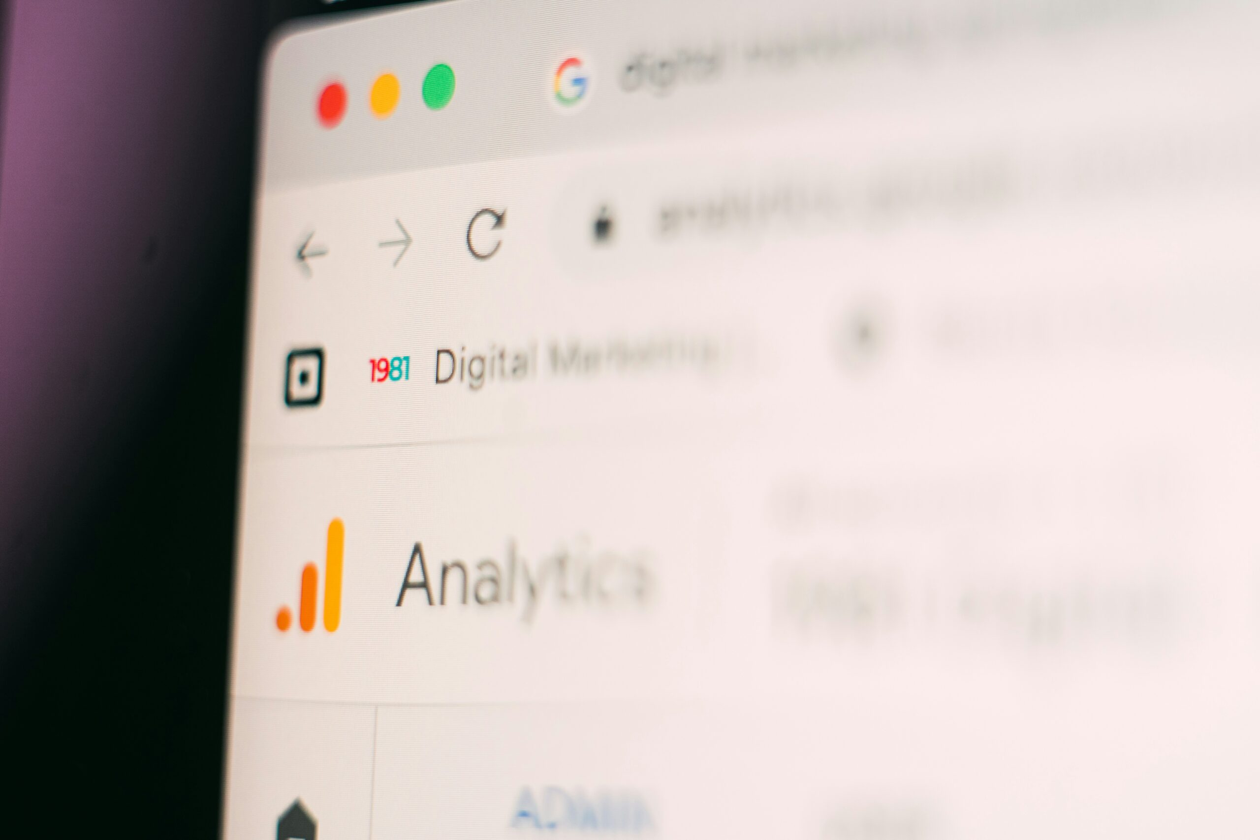 Build a Business Website